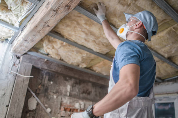 Best Attic Insulation Installation  in Fremont, NC