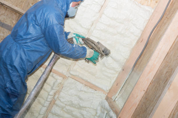 Best Blown-In Insulation  in Fremont, NC