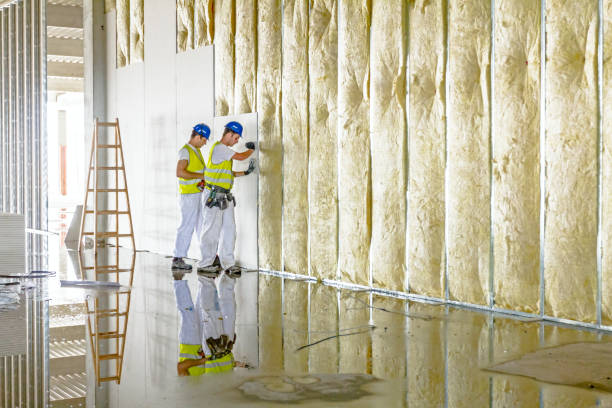 Types of Insulation We Offer in Fremont, NC